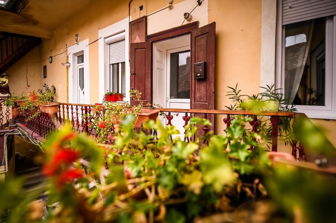 Jules' Sunny, Spacious And Central Apartment Sibiu Eksteriør bilde
